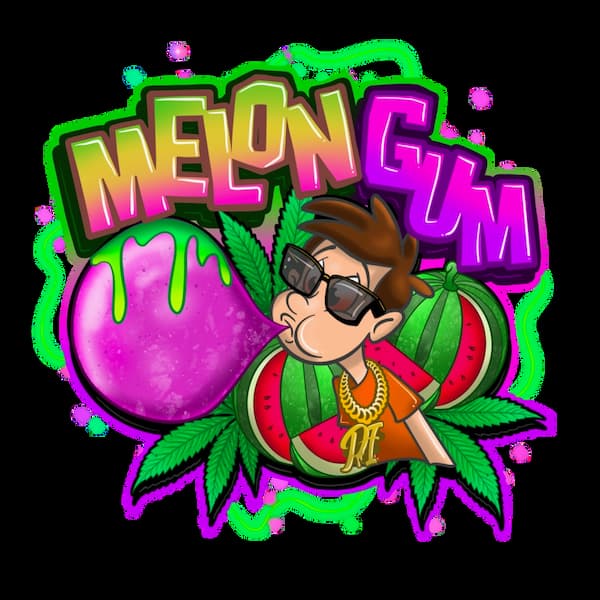 Melon Gum Seed > Pure Instinto | Feminized Cannabis   |  Indica